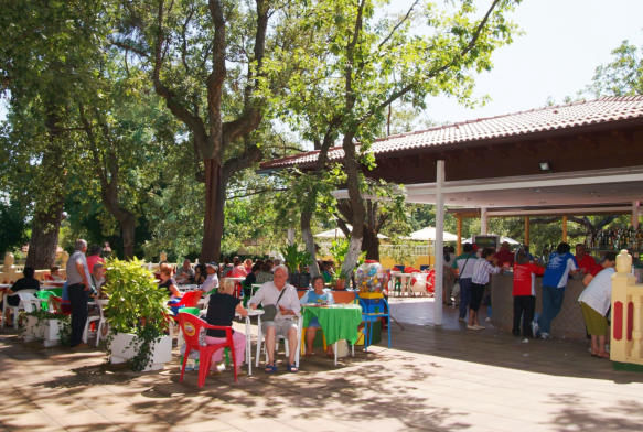 Tardes amenizadas con baile