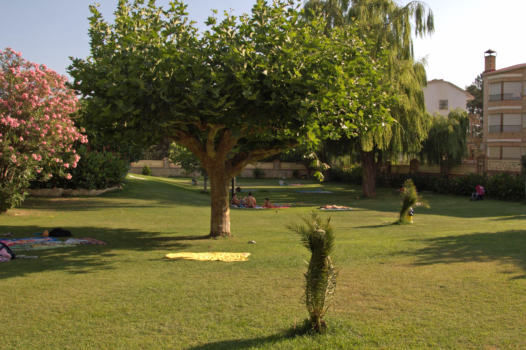 Terrazas Zona de Césped Solarium